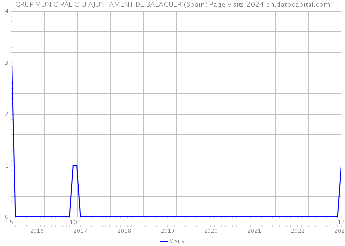 GRUP MUNICIPAL CIU AJUNTAMENT DE BALAGUER (Spain) Page visits 2024 