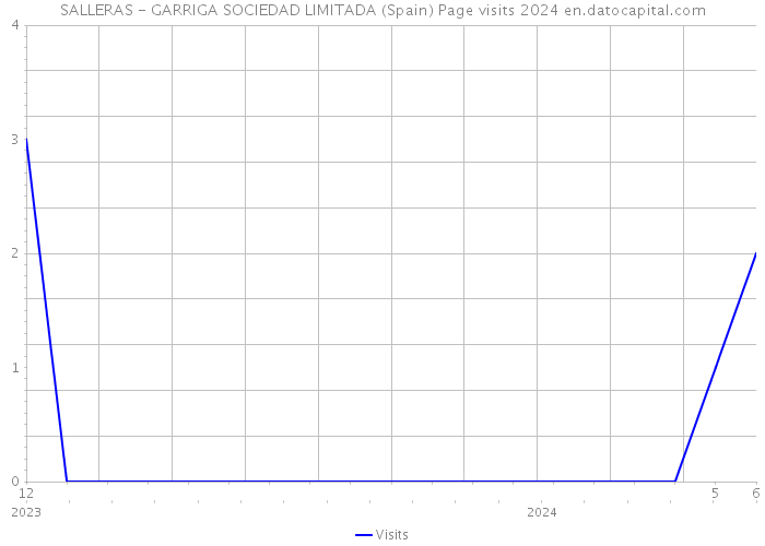 SALLERAS - GARRIGA SOCIEDAD LIMITADA (Spain) Page visits 2024 