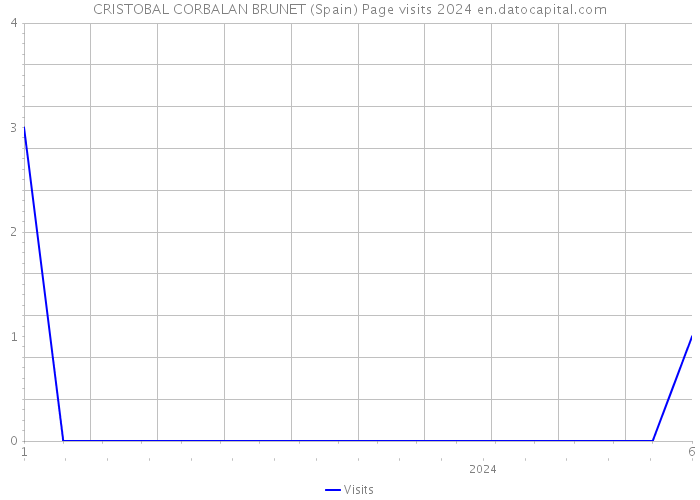 CRISTOBAL CORBALAN BRUNET (Spain) Page visits 2024 