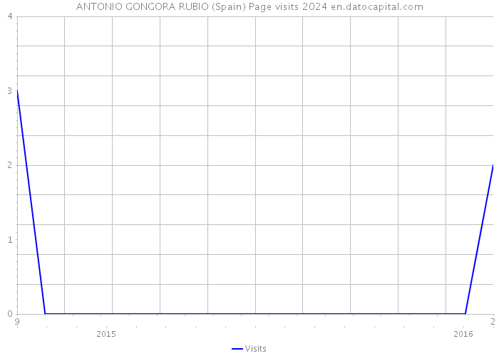 ANTONIO GONGORA RUBIO (Spain) Page visits 2024 