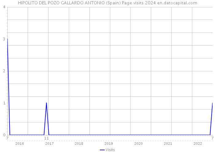 HIPOLITO DEL POZO GALLARDO ANTONIO (Spain) Page visits 2024 