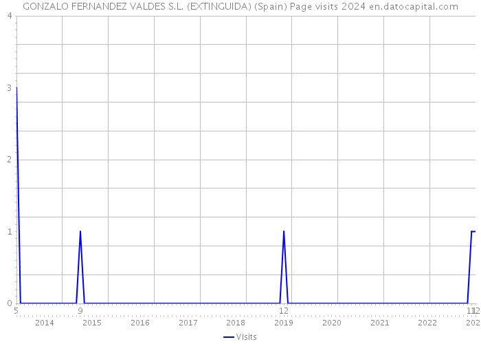 GONZALO FERNANDEZ VALDES S.L. (EXTINGUIDA) (Spain) Page visits 2024 