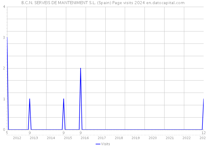 B.C.N. SERVEIS DE MANTENIMENT S.L. (Spain) Page visits 2024 