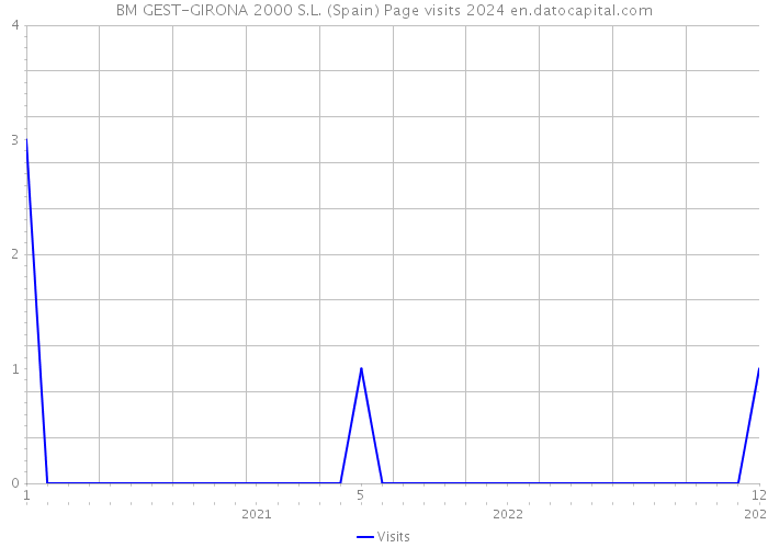 BM GEST-GIRONA 2000 S.L. (Spain) Page visits 2024 