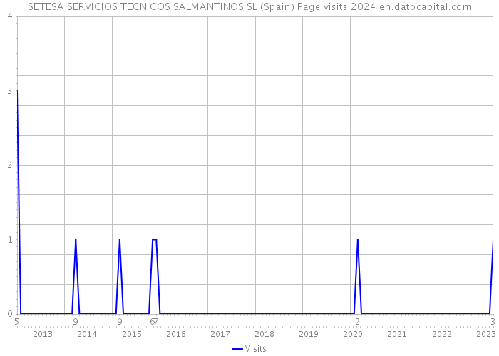 SETESA SERVICIOS TECNICOS SALMANTINOS SL (Spain) Page visits 2024 