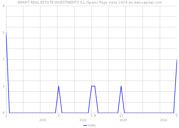 SMART REAL ESTATE INVESTMENTS S.L (Spain) Page visits 2024 