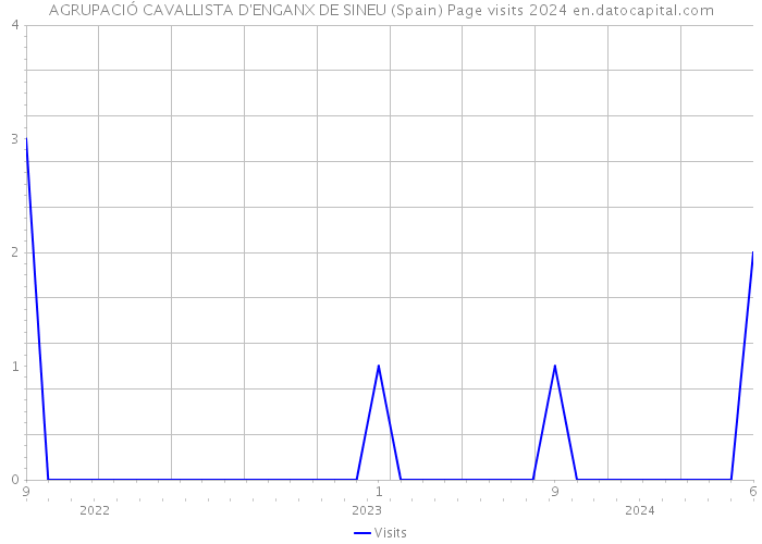 AGRUPACIÓ CAVALLISTA D'ENGANX DE SINEU (Spain) Page visits 2024 