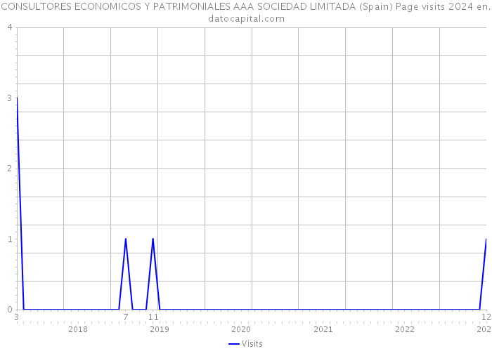 CONSULTORES ECONOMICOS Y PATRIMONIALES AAA SOCIEDAD LIMITADA (Spain) Page visits 2024 