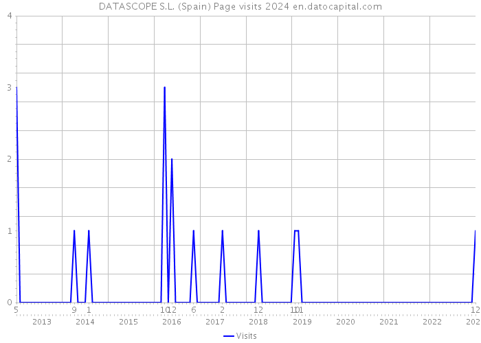 DATASCOPE S.L. (Spain) Page visits 2024 