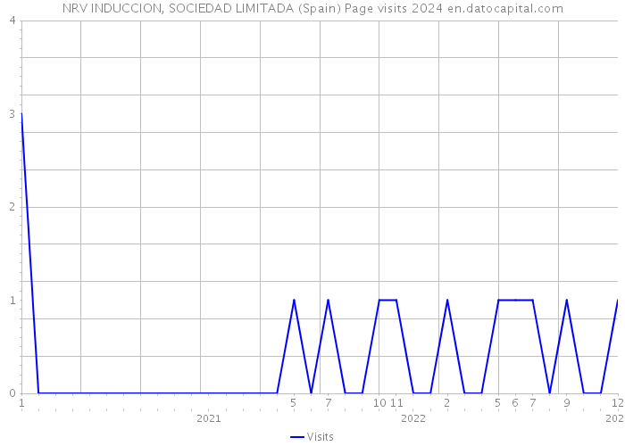 NRV INDUCCION, SOCIEDAD LIMITADA (Spain) Page visits 2024 