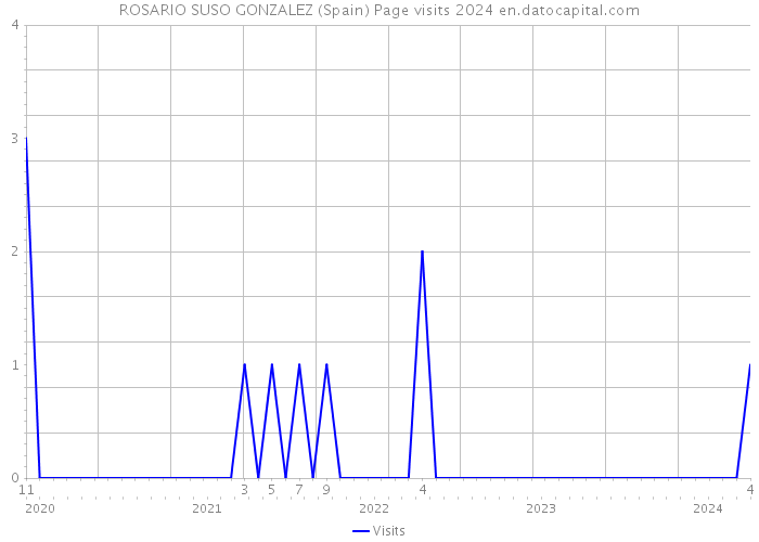 ROSARIO SUSO GONZALEZ (Spain) Page visits 2024 