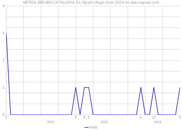 NETSOL SERVEIS CATALUNYA S.L (Spain) Page visits 2024 