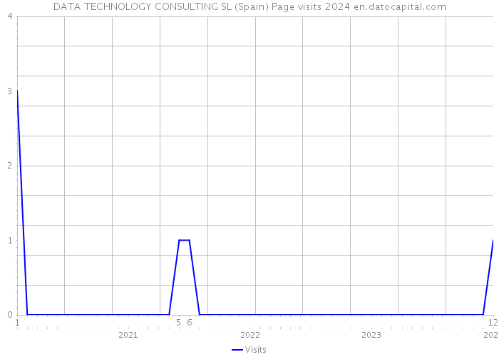DATA TECHNOLOGY CONSULTING SL (Spain) Page visits 2024 