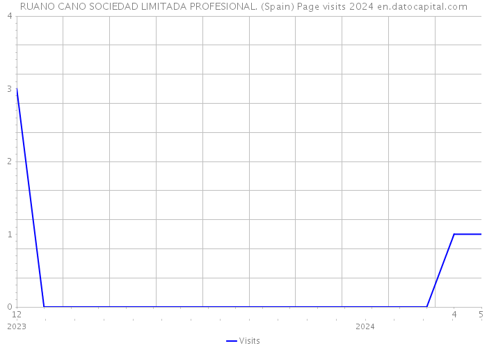 RUANO CANO SOCIEDAD LIMITADA PROFESIONAL. (Spain) Page visits 2024 