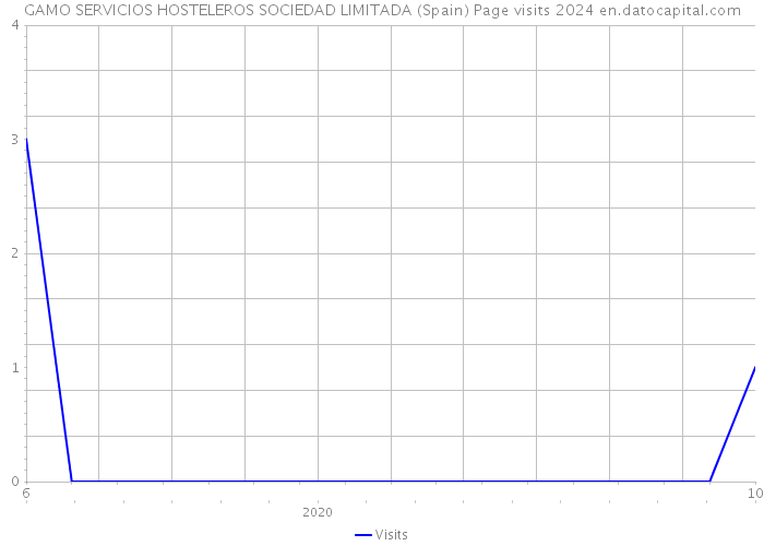 GAMO SERVICIOS HOSTELEROS SOCIEDAD LIMITADA (Spain) Page visits 2024 