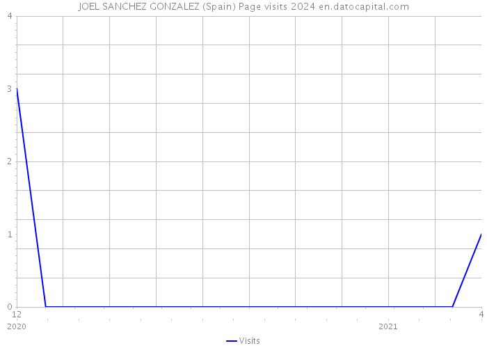 JOEL SANCHEZ GONZALEZ (Spain) Page visits 2024 
