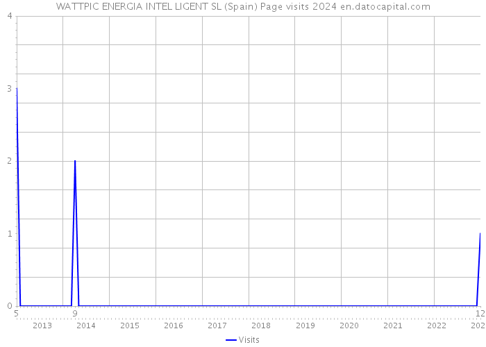 WATTPIC ENERGIA INTEL LIGENT SL (Spain) Page visits 2024 