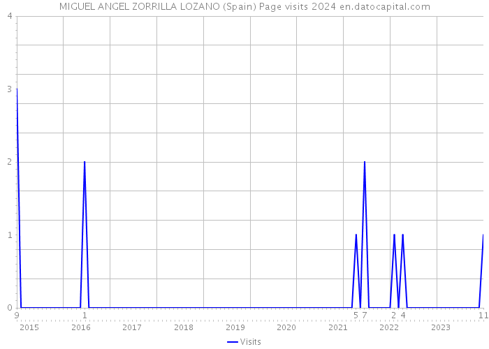 MIGUEL ANGEL ZORRILLA LOZANO (Spain) Page visits 2024 