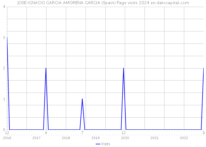 JOSE IGNACIO GARCIA AMORENA GARCIA (Spain) Page visits 2024 