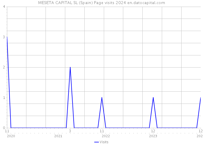 MESETA CAPITAL SL (Spain) Page visits 2024 