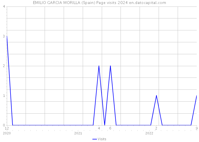 EMILIO GARCIA MORILLA (Spain) Page visits 2024 