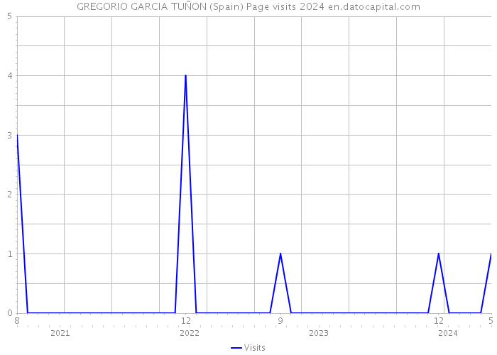 GREGORIO GARCIA TUÑON (Spain) Page visits 2024 