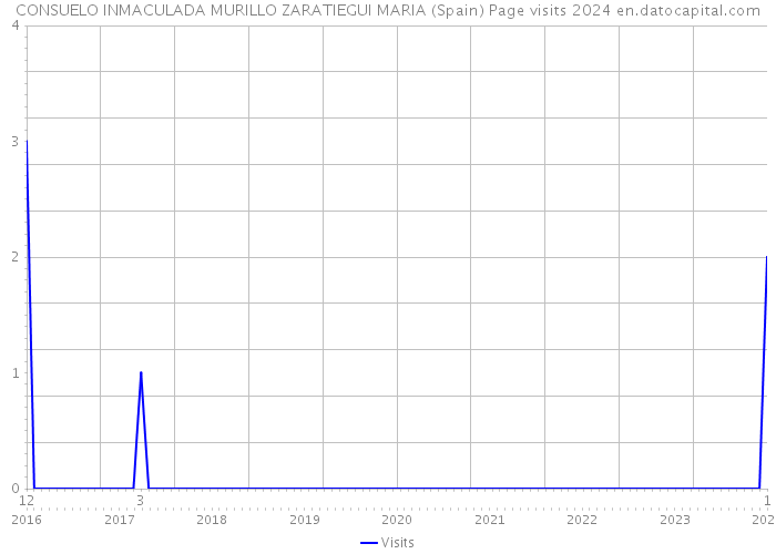CONSUELO INMACULADA MURILLO ZARATIEGUI MARIA (Spain) Page visits 2024 