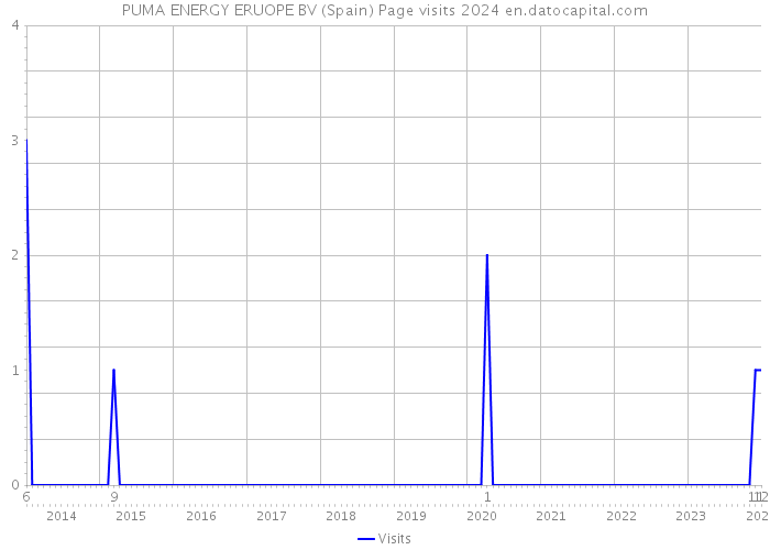 PUMA ENERGY ERUOPE BV (Spain) Page visits 2024 