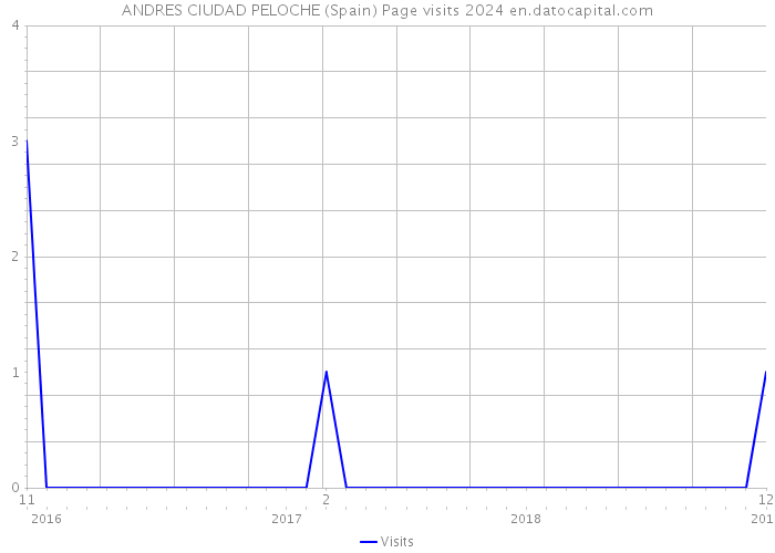 ANDRES CIUDAD PELOCHE (Spain) Page visits 2024 