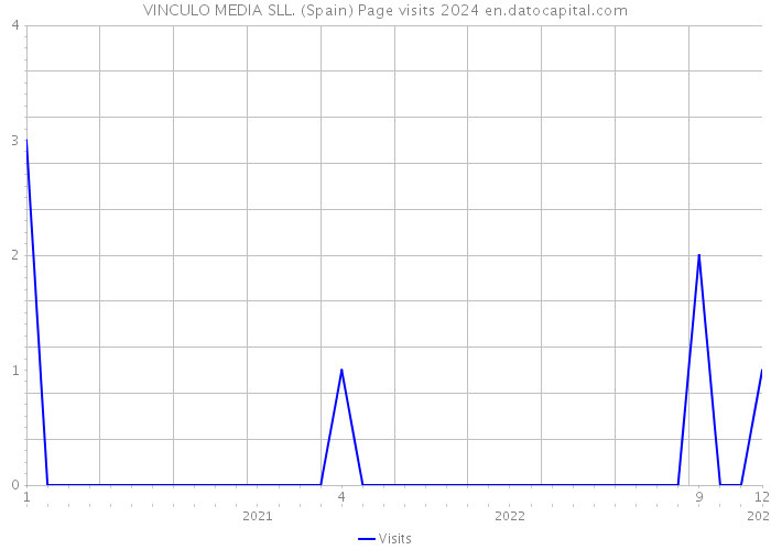 VINCULO MEDIA SLL. (Spain) Page visits 2024 