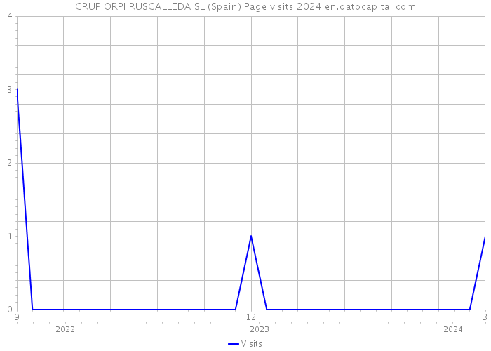 GRUP ORPI RUSCALLEDA SL (Spain) Page visits 2024 