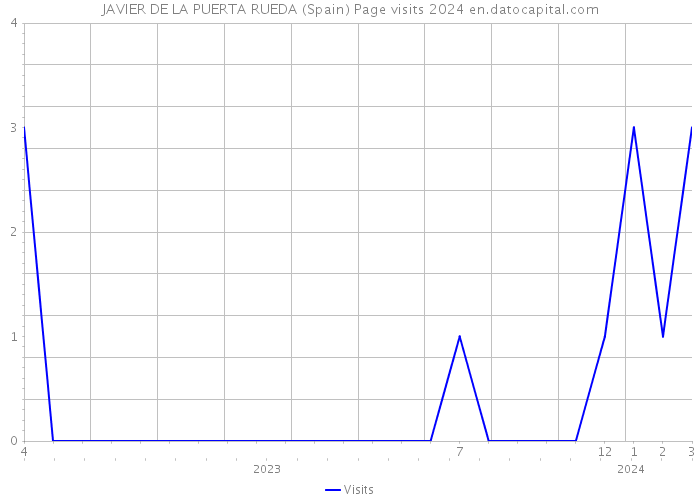 JAVIER DE LA PUERTA RUEDA (Spain) Page visits 2024 