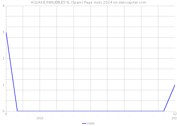 AGUAKE INMUEBLES SL (Spain) Page visits 2024 