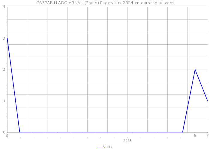 GASPAR LLADO ARNAU (Spain) Page visits 2024 