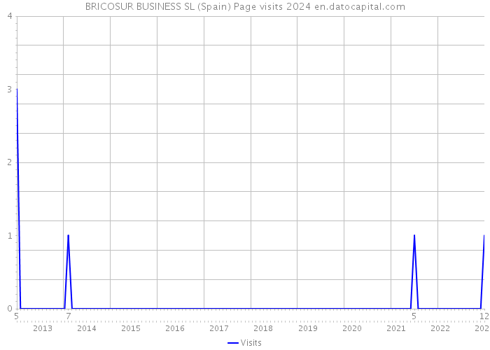 BRICOSUR BUSINESS SL (Spain) Page visits 2024 