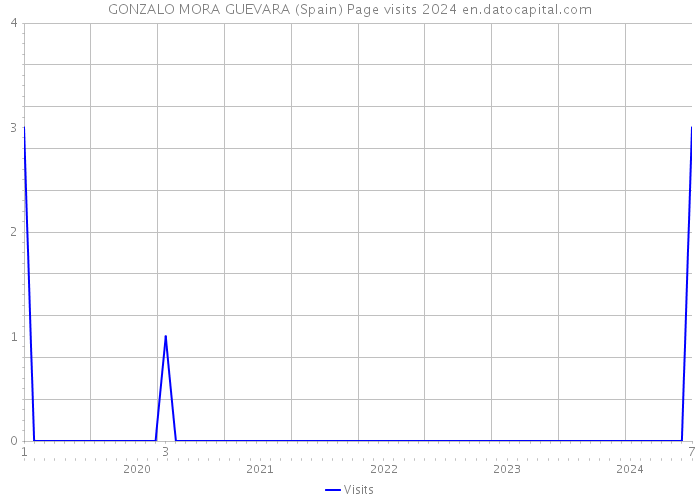 GONZALO MORA GUEVARA (Spain) Page visits 2024 