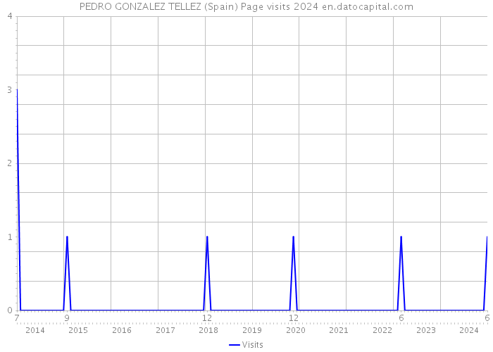 PEDRO GONZALEZ TELLEZ (Spain) Page visits 2024 