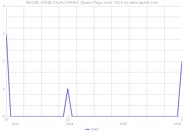 MIGUEL ANGEL PALAU ARNAU (Spain) Page visits 2024 