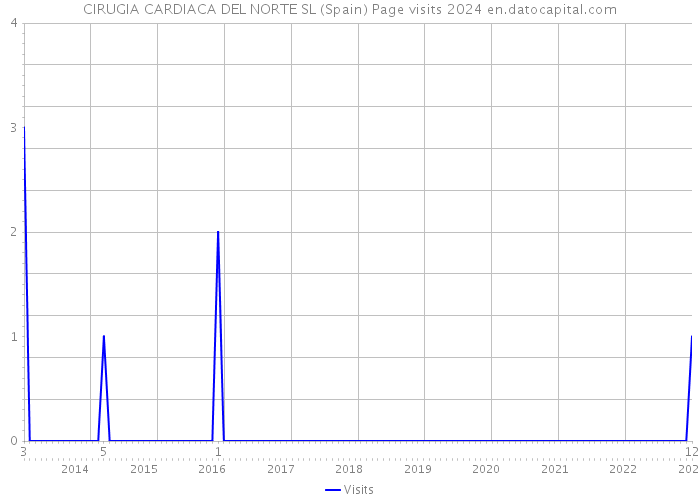 CIRUGIA CARDIACA DEL NORTE SL (Spain) Page visits 2024 