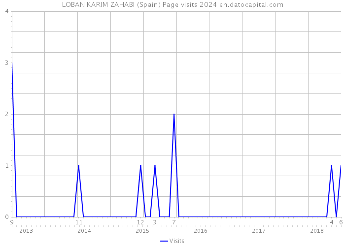 LOBAN KARIM ZAHABI (Spain) Page visits 2024 
