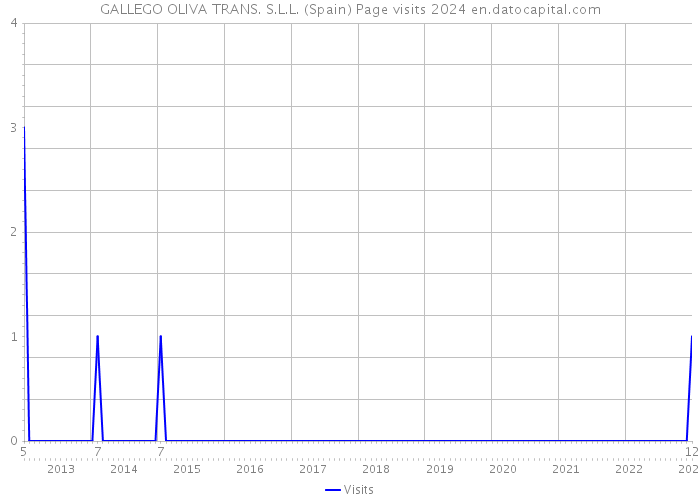 GALLEGO OLIVA TRANS. S.L.L. (Spain) Page visits 2024 