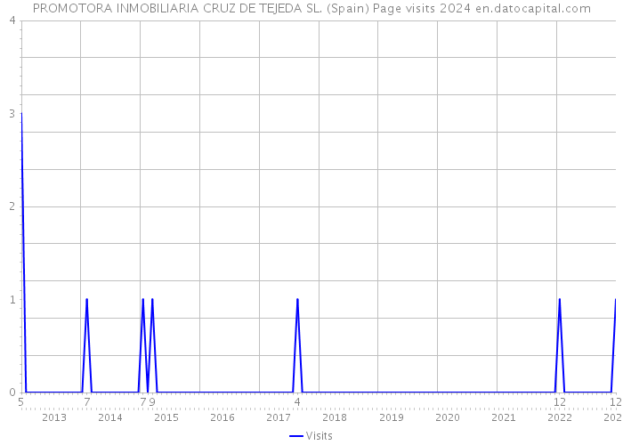 PROMOTORA INMOBILIARIA CRUZ DE TEJEDA SL. (Spain) Page visits 2024 