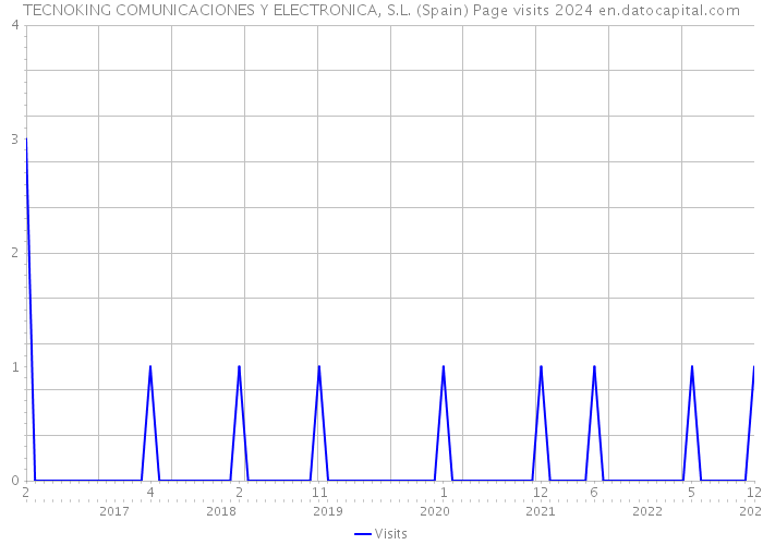 TECNOKING COMUNICACIONES Y ELECTRONICA, S.L. (Spain) Page visits 2024 