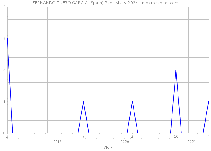 FERNANDO TUERO GARCIA (Spain) Page visits 2024 