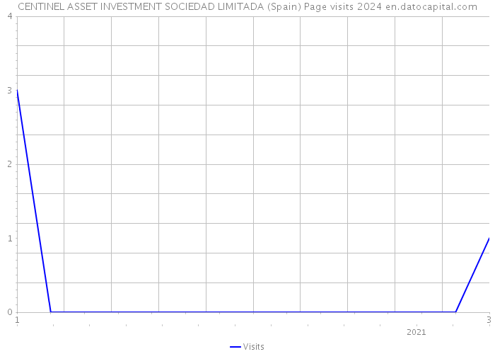 CENTINEL ASSET INVESTMENT SOCIEDAD LIMITADA (Spain) Page visits 2024 