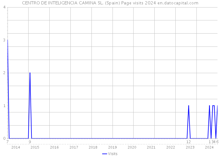 CENTRO DE INTELIGENCIA CAMINA SL. (Spain) Page visits 2024 