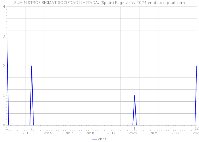 SUMINISTROS BIGMAT SOCIEDAD LIMITADA. (Spain) Page visits 2024 