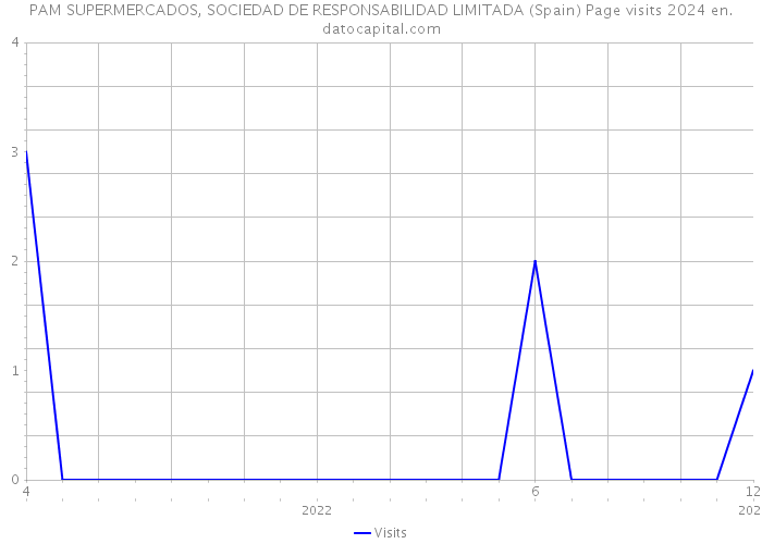 PAM SUPERMERCADOS, SOCIEDAD DE RESPONSABILIDAD LIMITADA (Spain) Page visits 2024 