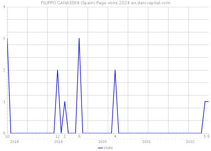 FILIPPO GANASSINI (Spain) Page visits 2024 