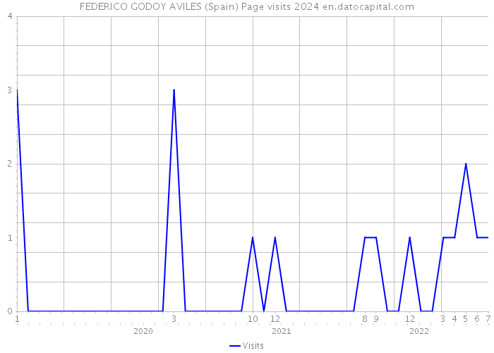 FEDERICO GODOY AVILES (Spain) Page visits 2024 